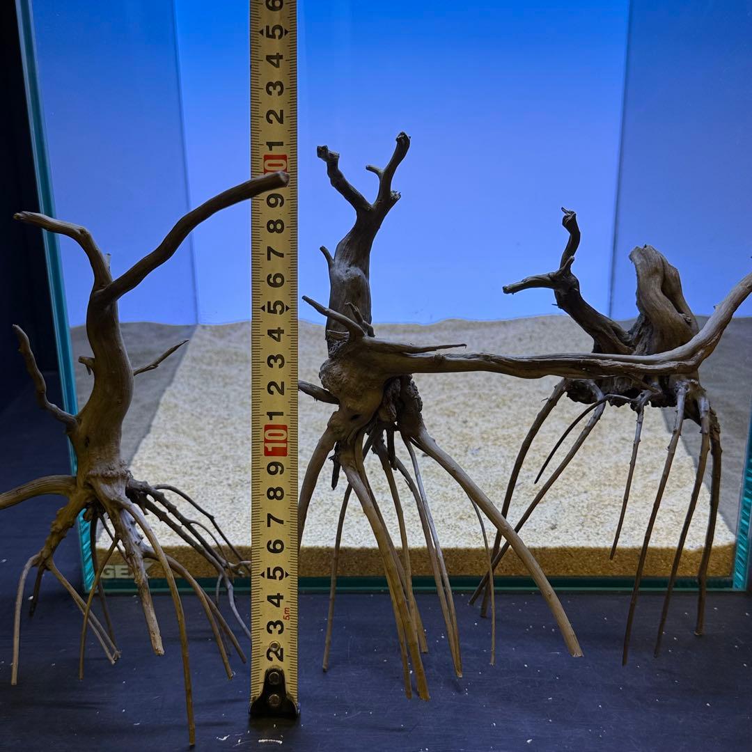 MDW-7248 ブランチウッド(ブラック)3本セット 枝流木 アクアリウム