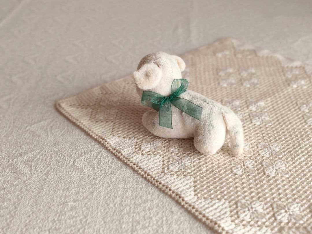 【チョコメルさま】vintage cat ୨୧ ベイビーフェイス 猫ちゃん