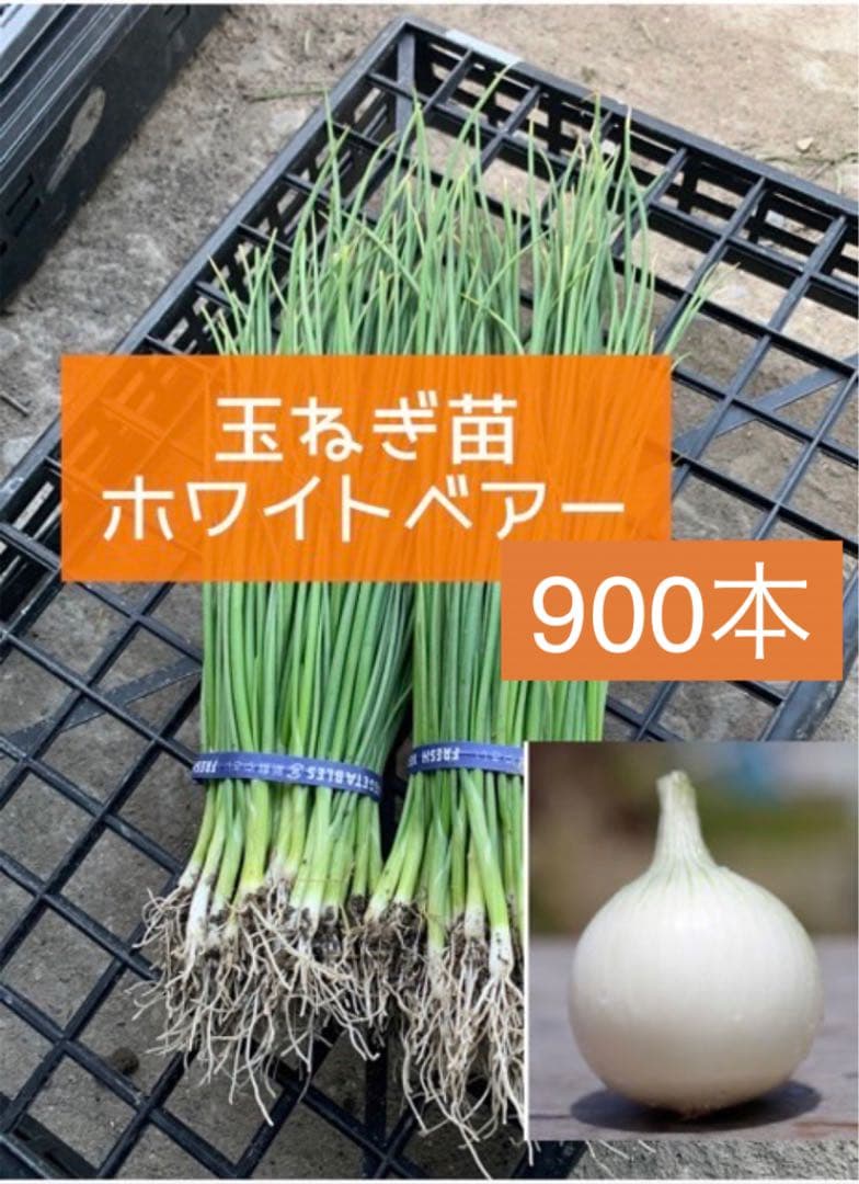 LA GIRAUDIERE リトグラフ 公園の風景 約243ミリ×365ミリ