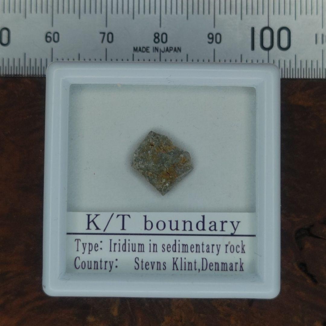 入手不可！小惑星のかけら K-T境界層（K/Pg境界頁岩）標本