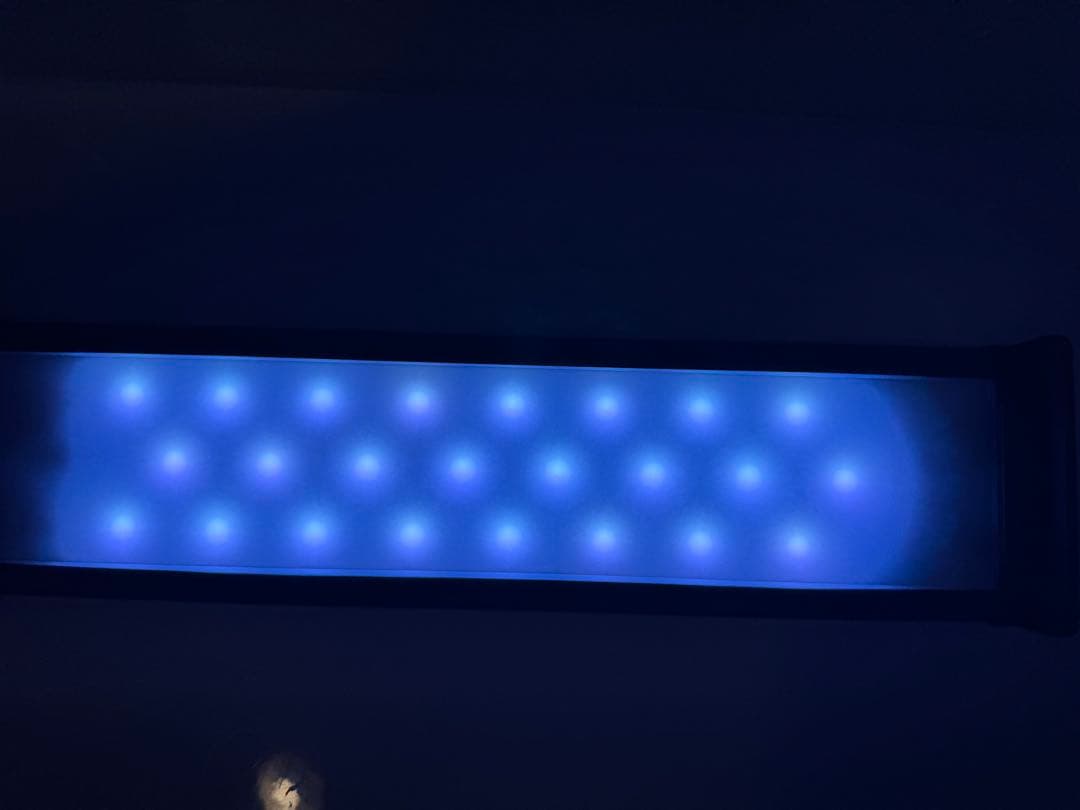 ADA LAB限定 パルダライト+アクリル展示台+ガラスポットMARUセット