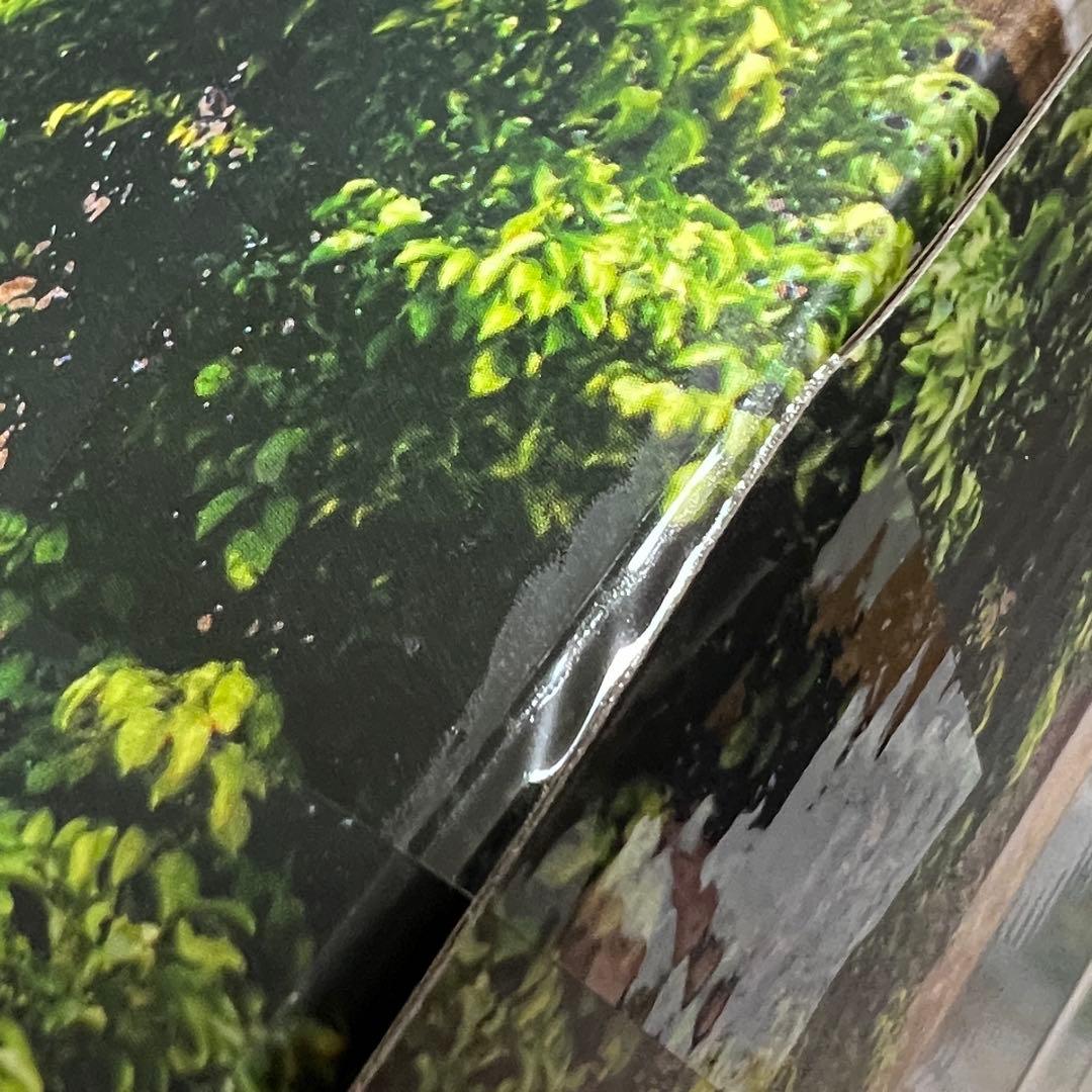 ハモンドコレクション　ジュラシック・パーク　ティラノサウルス コミコン限定