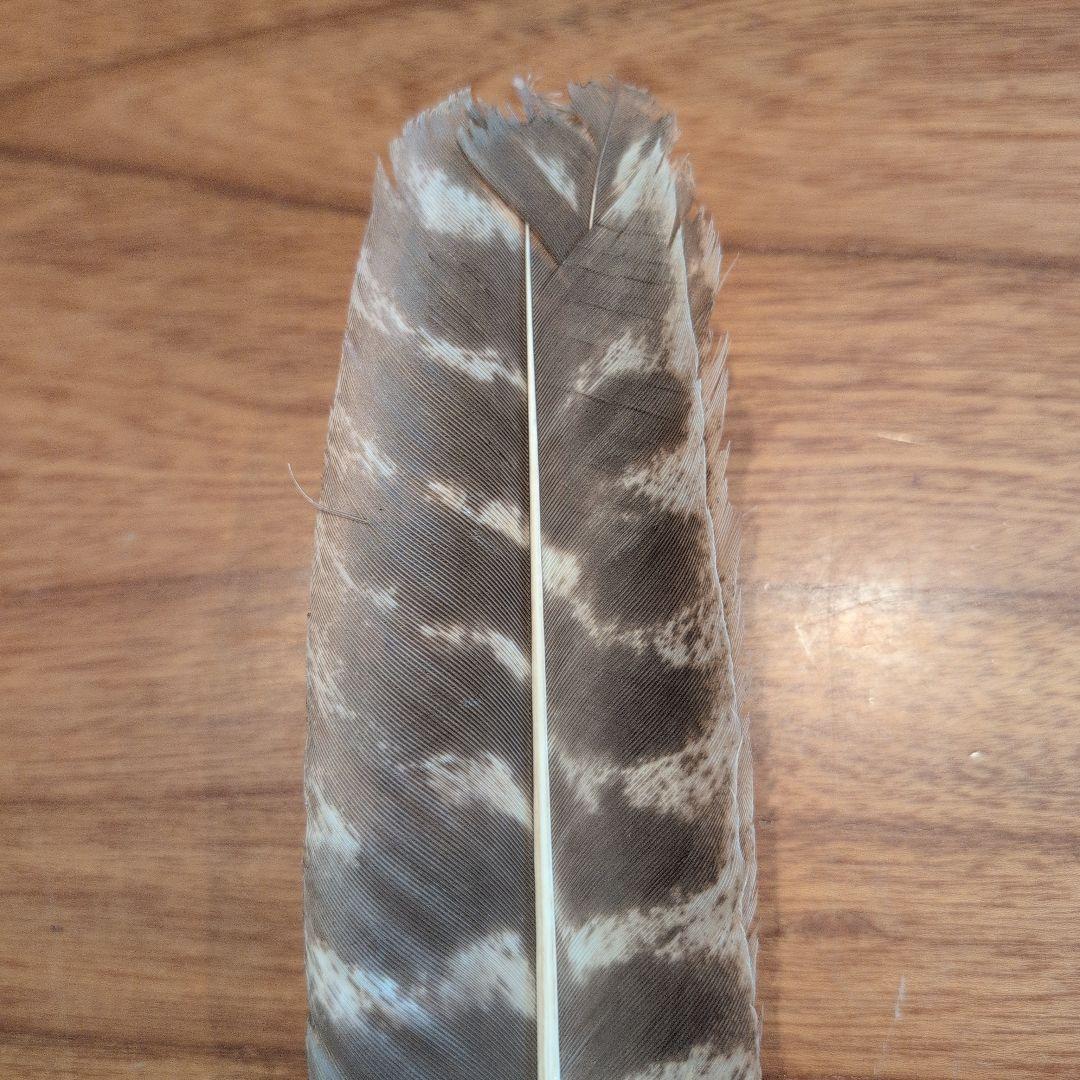 羽箒2点 (1点は未使用 箒博作)