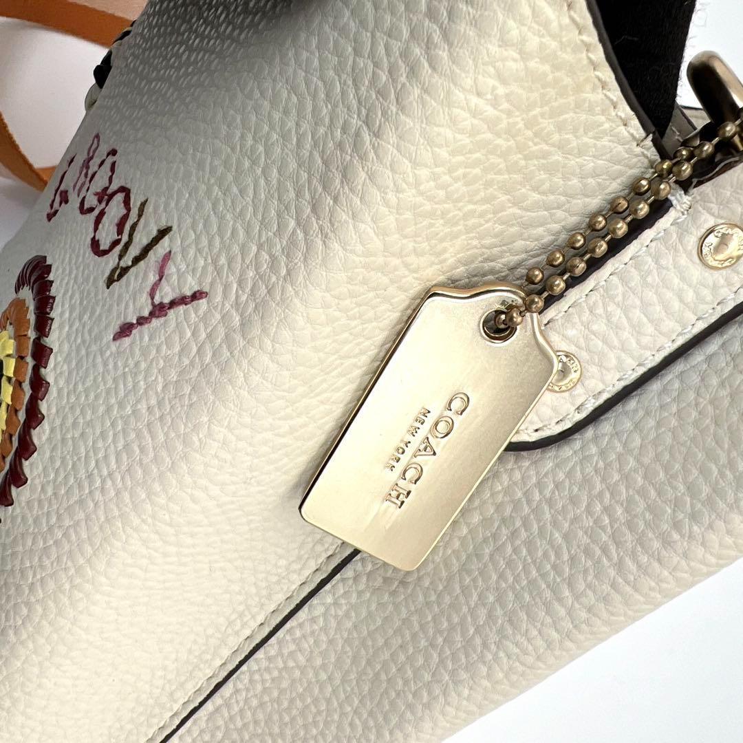 超美品 コーチ スモールタウン バケットバッグ ハンドバッグ ショルダーバッグ