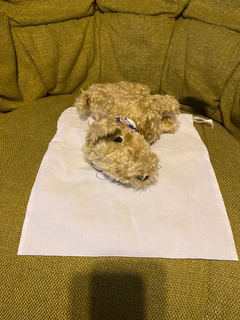 Bonpoint ぬいぐるみ　いちくん