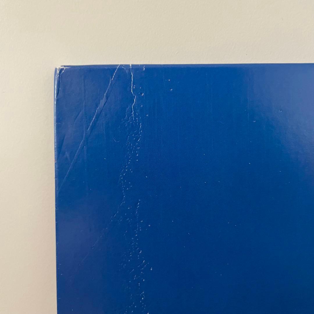 おまけ付きSTILLING STILL DREAMING 2LP