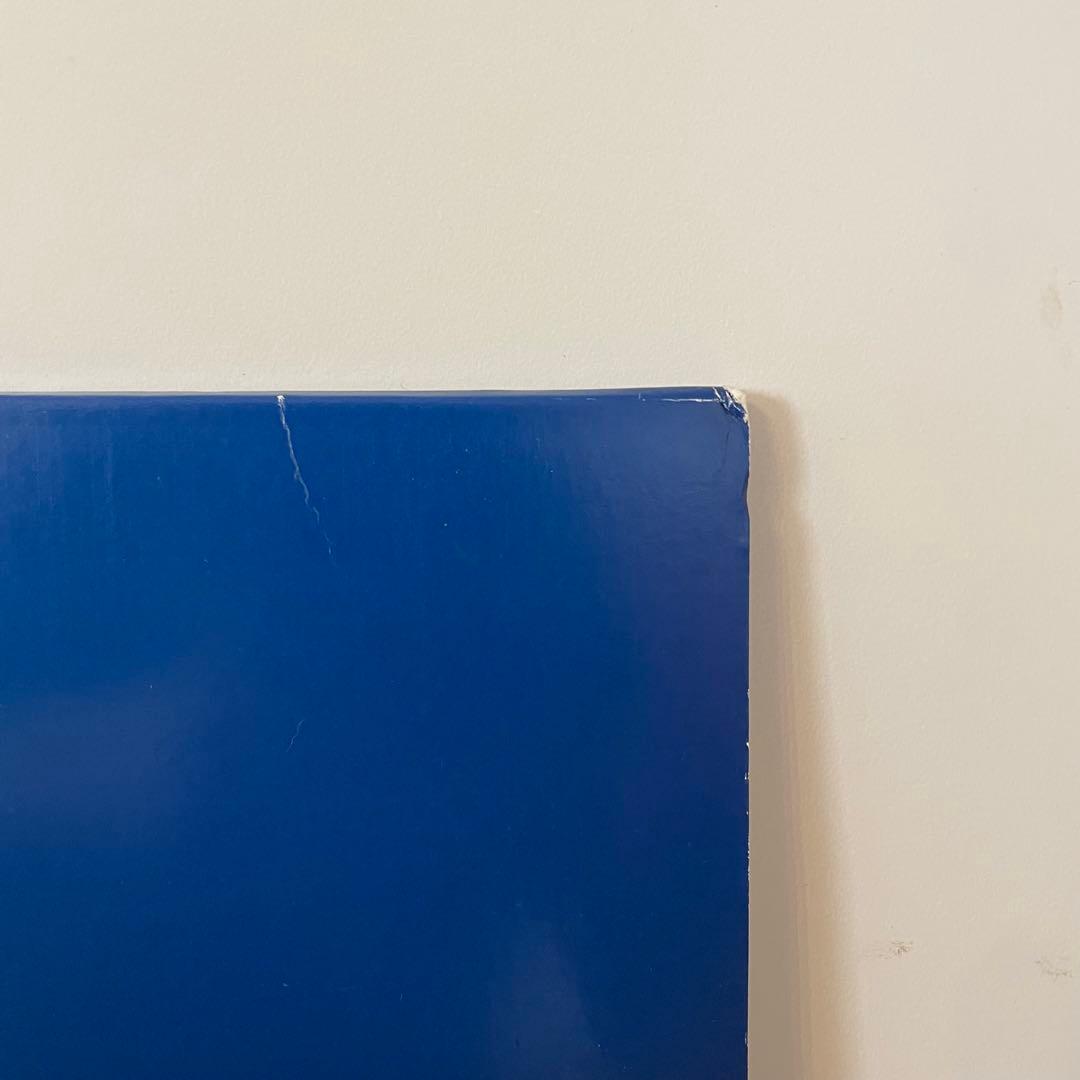 おまけ付きSTILLING STILL DREAMING 2LP