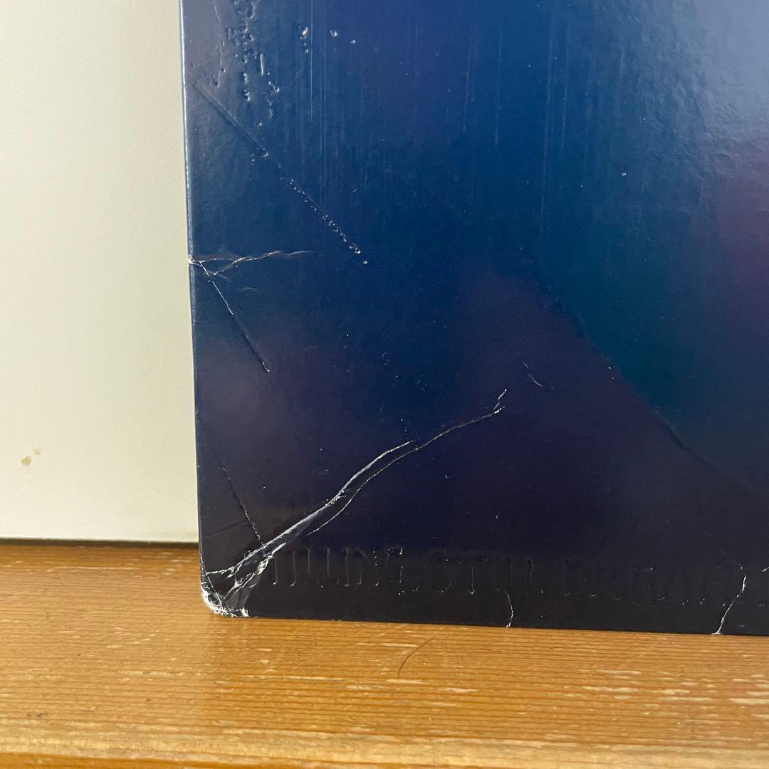 おまけ付きSTILLING STILL DREAMING 2LP