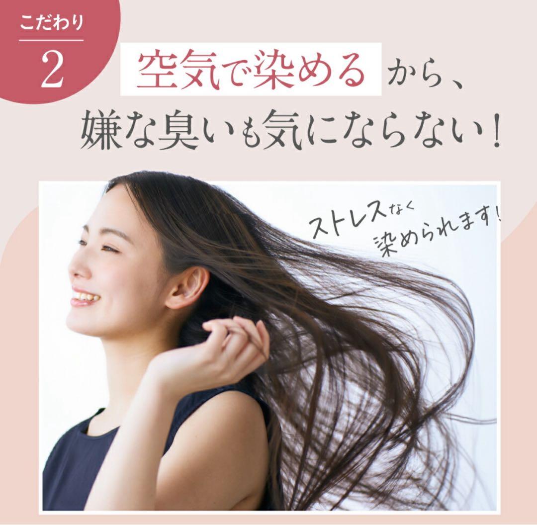 お得な３本セット楽天1位白髪染めビーリスカラーリング泡タイプ 部分染めb.ris