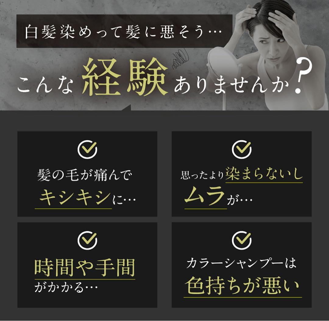 お得な３本セット楽天1位白髪染めビーリスカラーリング泡タイプ 部分染めb.ris