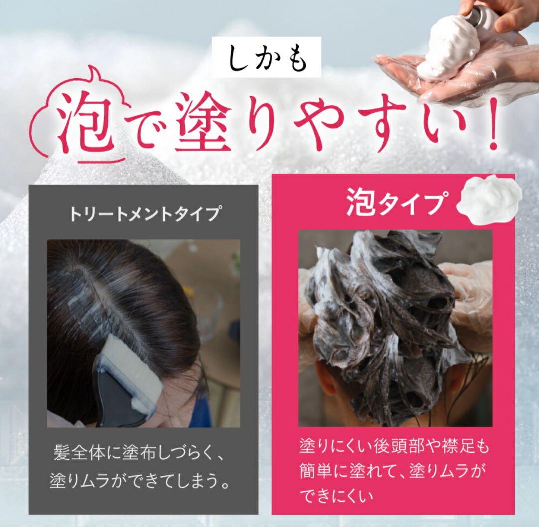 お得な３本セット楽天1位白髪染めビーリスカラーリング泡タイプ 部分染めb.ris