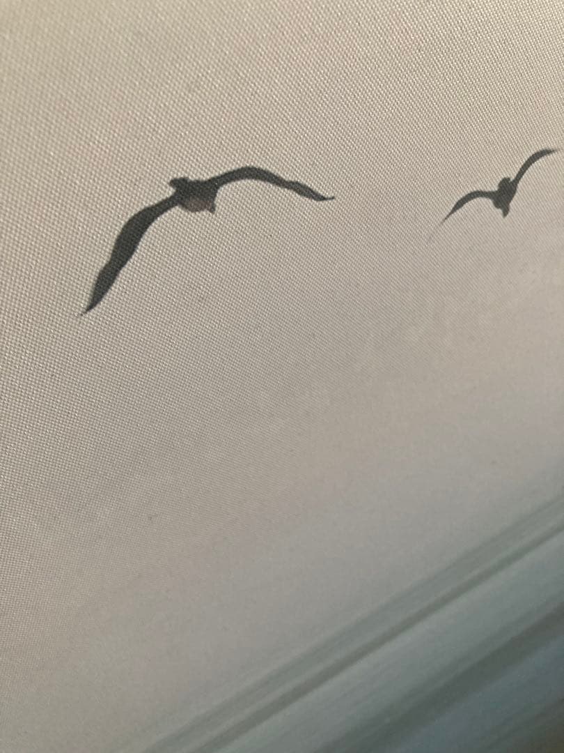 廃盤）IKEA アートパネル PJÄTTERYD 3点セット 飛び立つ鳥の絵