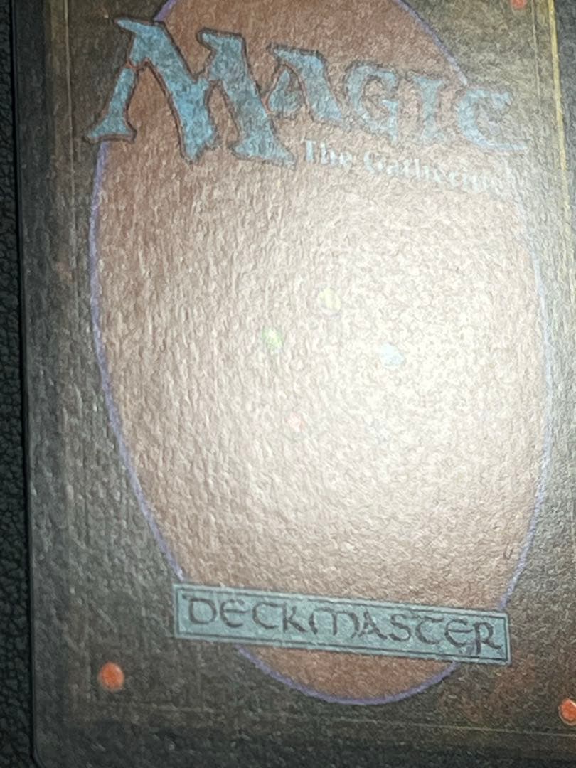 MTG 大地の知識　日本語　テンペスト
