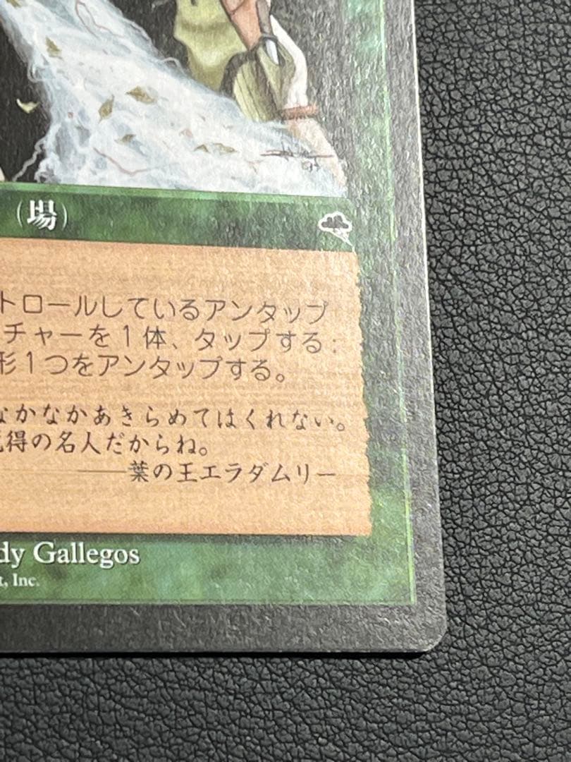 MTG 大地の知識　日本語　テンペスト