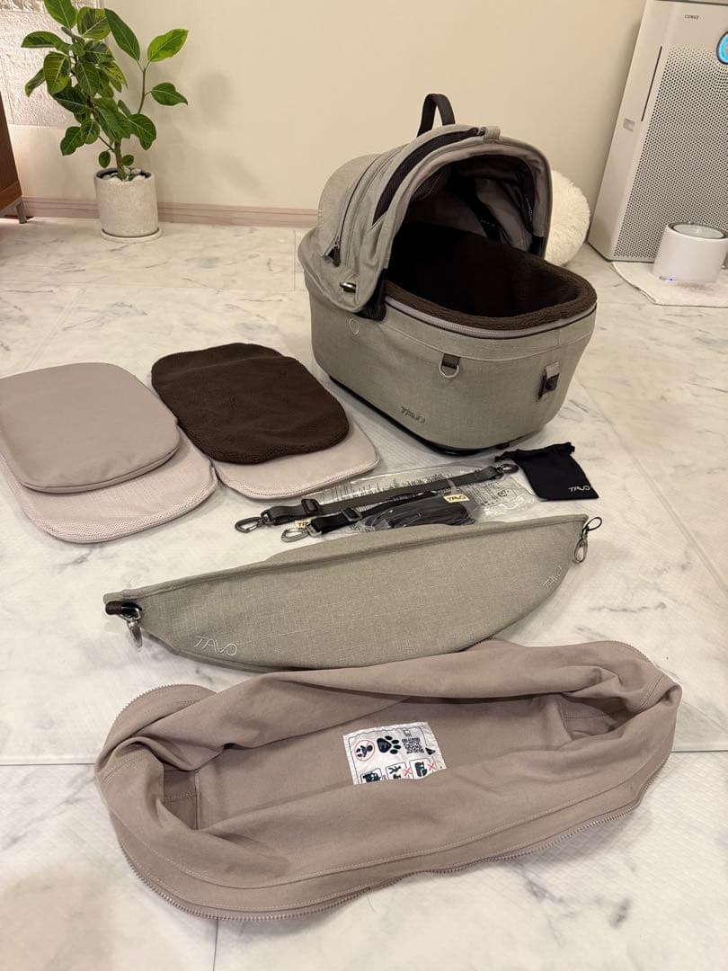 TAVO Maeve メイブ 5X FAWN コットのみ単品です。