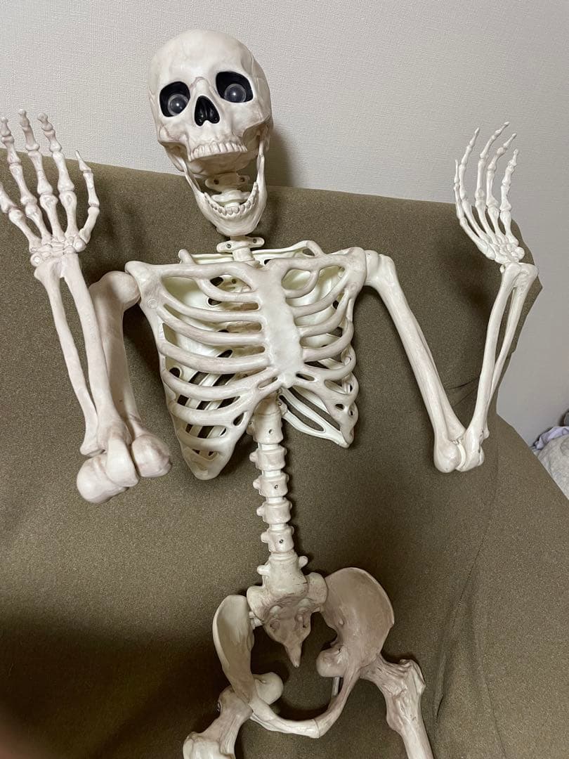 デカすぎ！】ガイコツ ハロウィン 人体模型 骨 ハロウィン 150cm