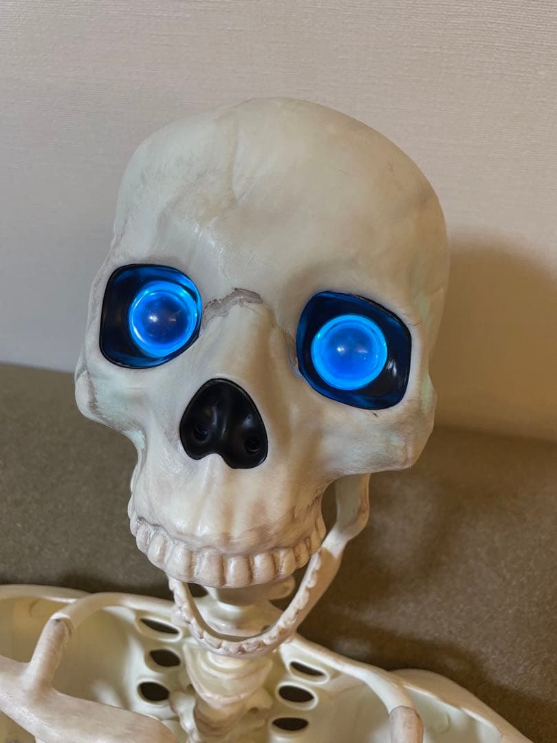 デカすぎ！】ガイコツ ハロウィン 人体模型 骨 ハロウィン 150cm
