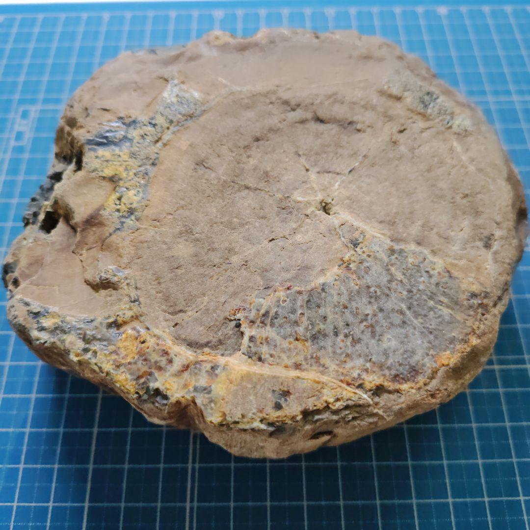 多彩な色の自然石（津軽錦石）原石、管理No．71238