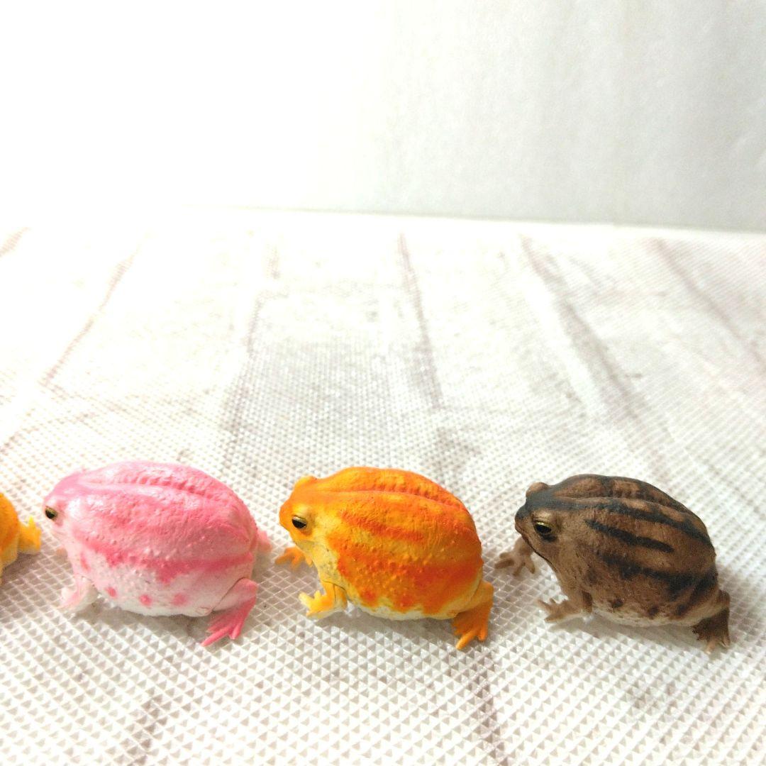 フクラガエル　リアルフィギュア　コンプリート