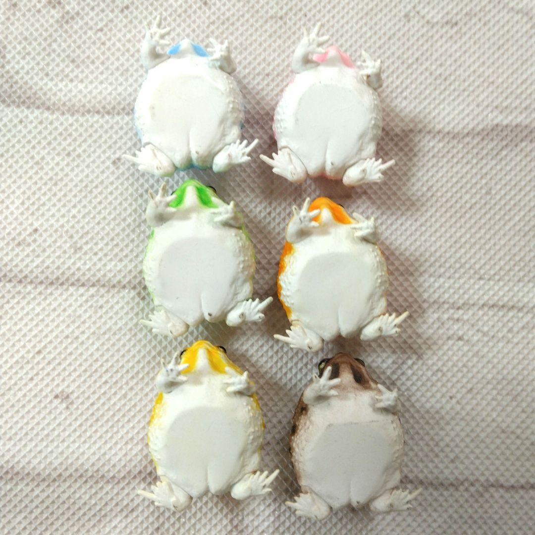 フクラガエル　リアルフィギュア　コンプリート