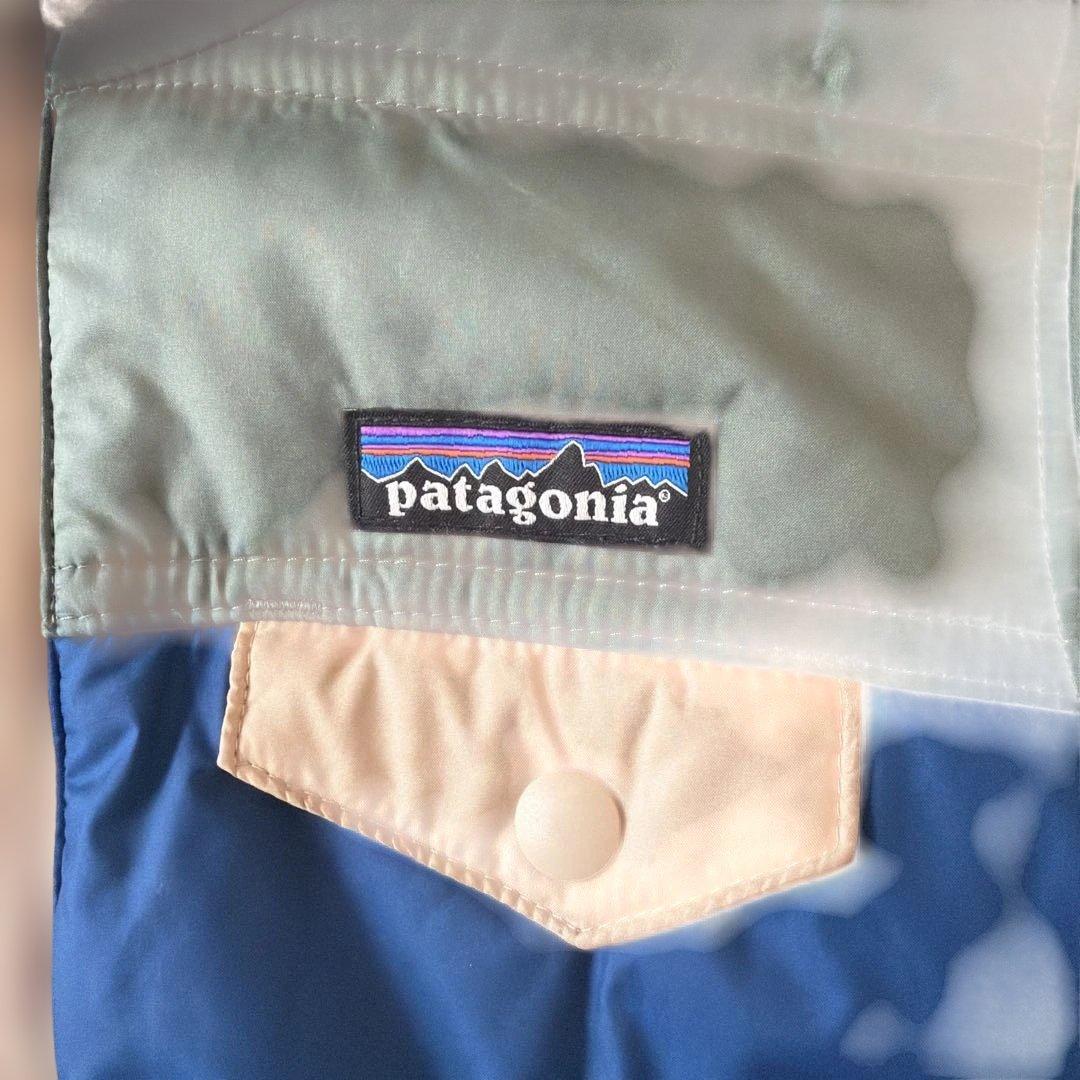 patagonia フード付きダウン