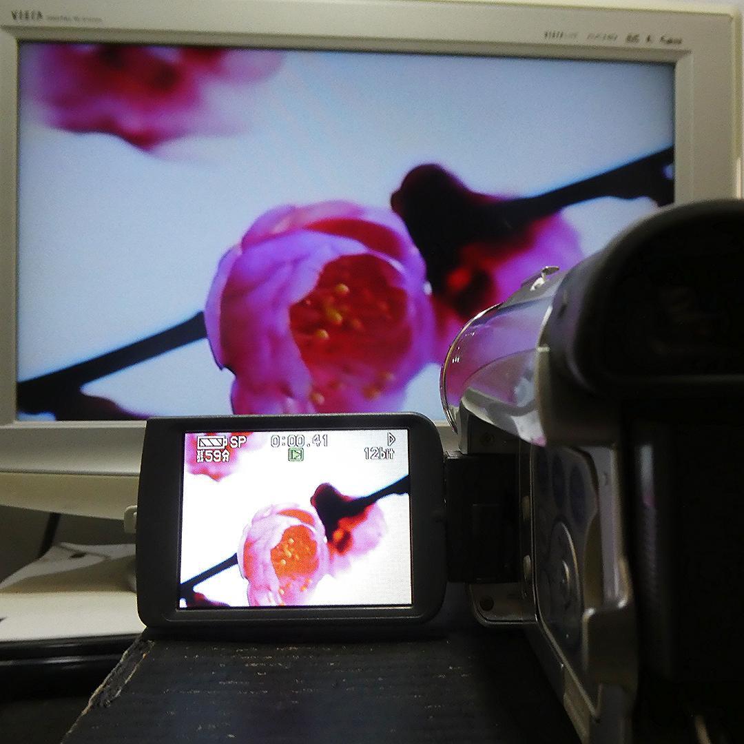 動作良好 パナソニックNV-GS200 MiniDVビデオカメラ　DVD化に最適