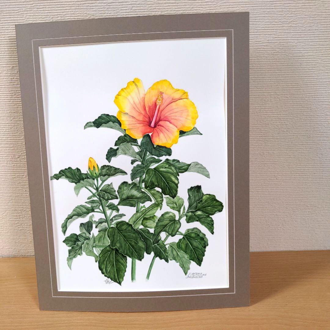 水彩画(ハイビスカス) 原画 マット無し - メルカリ
