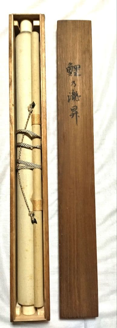 掛軸　肉筆　鯉乃瀧昇　共箱有　絹本　掛け軸