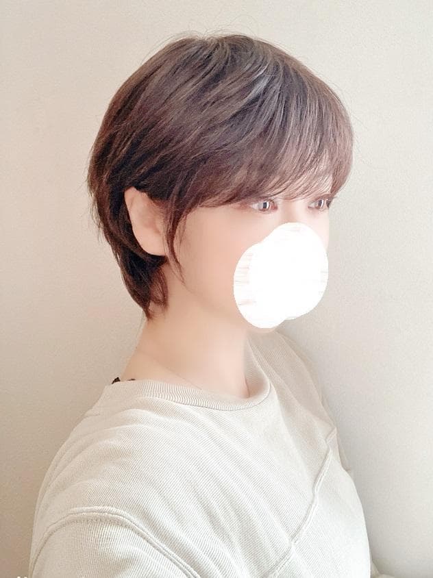 じゃみ　ナオアート　PURE101　ショート　ダークブラウンM