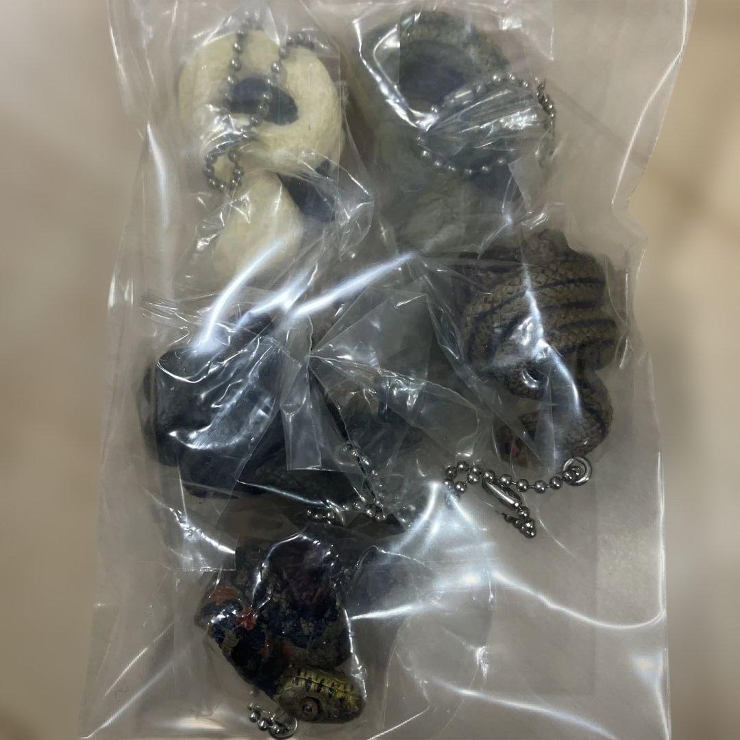 マスコットボールチェーン 爬虫類 両生類 ガチャガチャ カプセルトイ