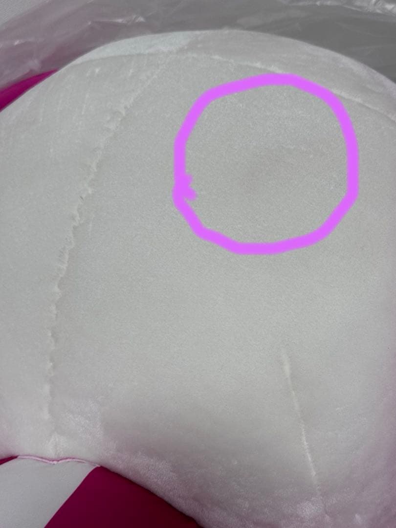 東京オリンピック　パラリンピック　ソメイティ　3L