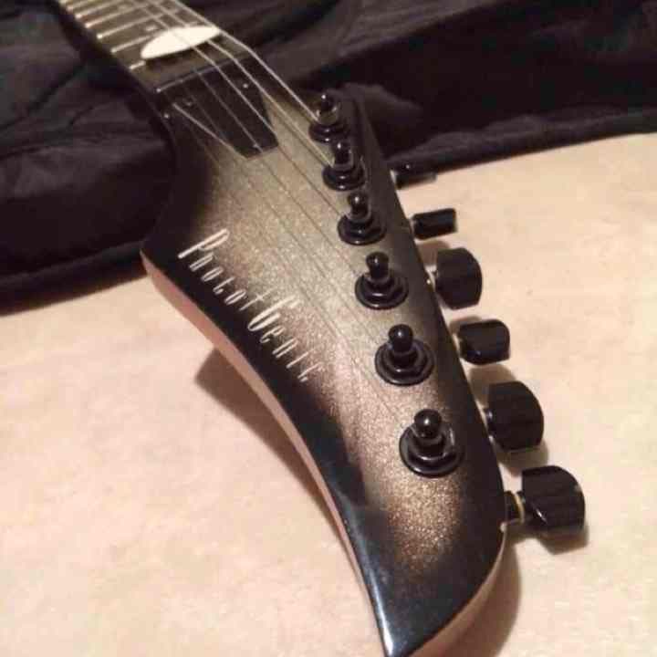 ギター Photo Genic