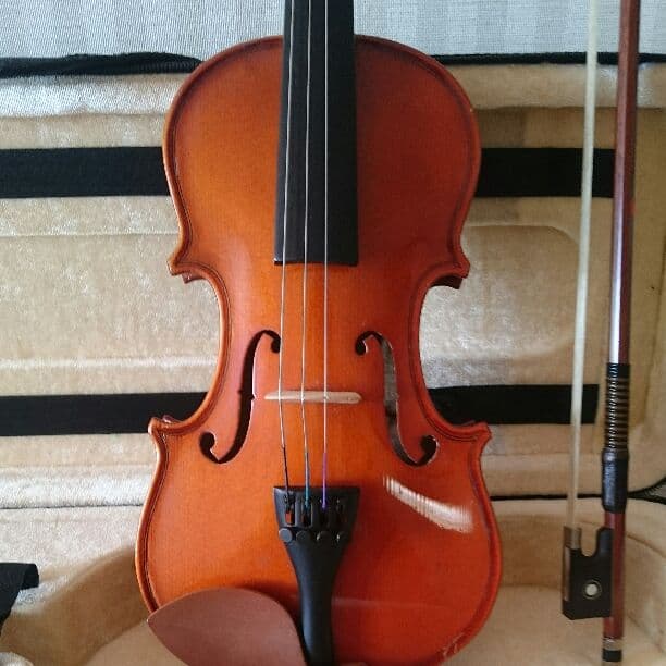 ❤バイオリン❤８分の１