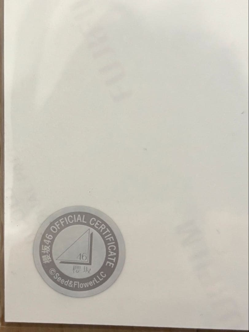 櫻坂 46 佐藤 愛桜　直筆サイン入り生写真　2025 サンタ衣装