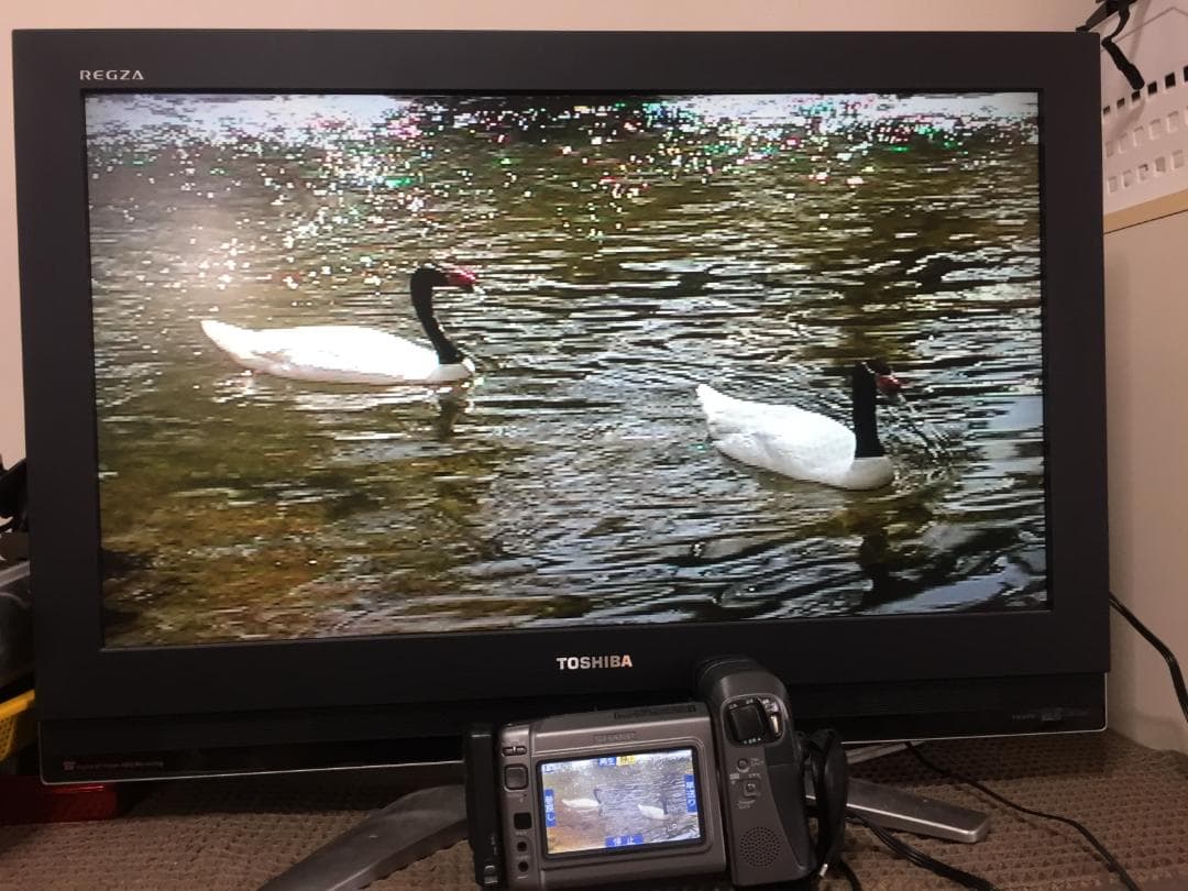 撮影再生ダビングOK　SHARP　VL-DH4000　付属品豪華　液晶大画面