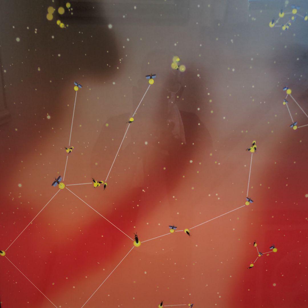 ヤンマーさん専用　横尾忠則ポスター、山口県岩国市錦町、日本芸術院会員、文化功労者