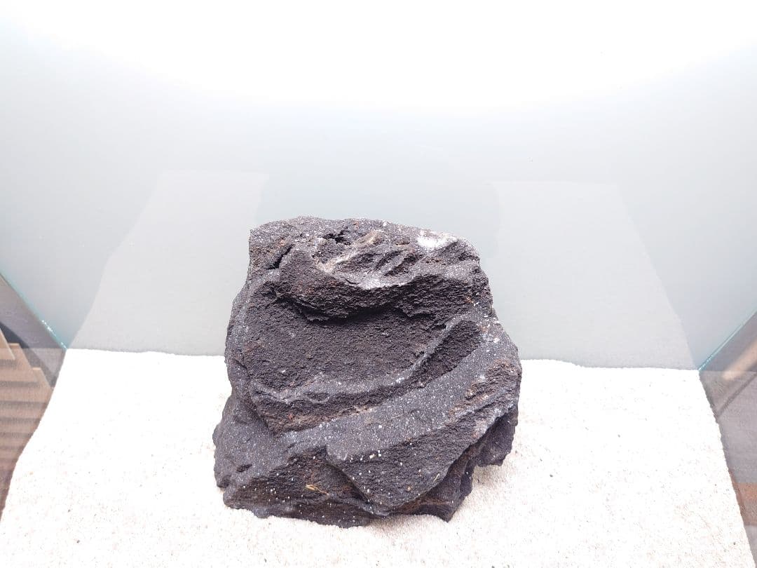 ADA 山水石セット約19キロ（箱含む） DOOA パルダリウム テラリウム