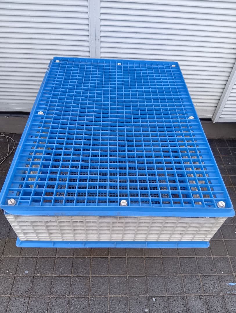 放鳩籠 コンテナ レース鳩 移送 搬送 輸送 コンテナー キャディー 愛鳩の友