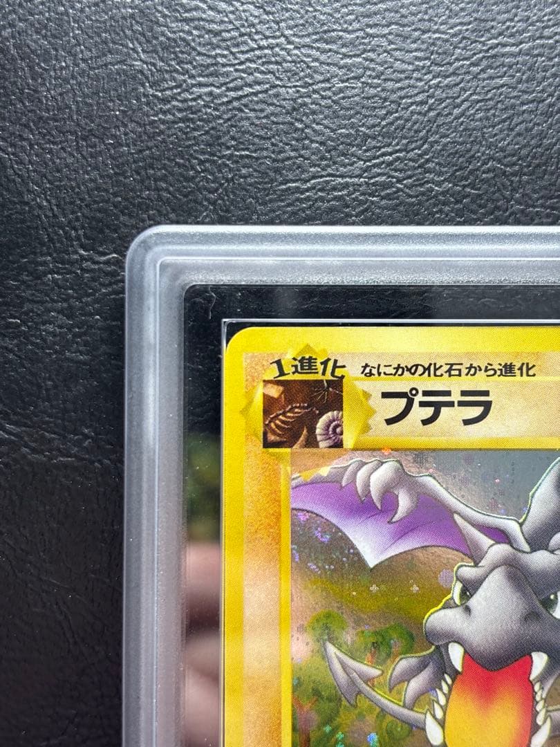 ARS9】プテラ 旧裏 全ホロ 化石の秘密 ホロブリード holo bleed - メルカリ