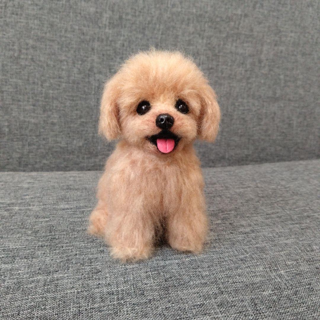 jill様専用 羊毛フェルトトイプードル×マルチーズ マルプー 犬