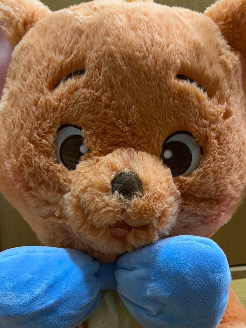 トゥルーズ☆ぬいぐるみ☆ブランケット付き☆約50cm☆コストコ