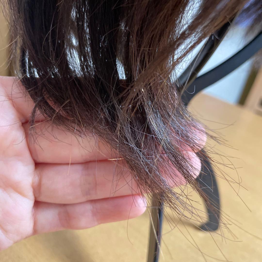 リネアストア　天使のマニッシュショート　コーム、セラム付き　Sサイズ