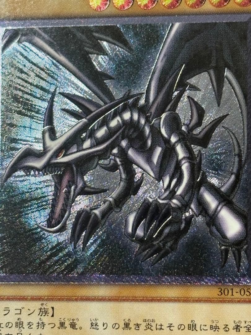 ヤ*）様 遊戯王 真紅眼の黒竜 レリーフ 親知らず個体