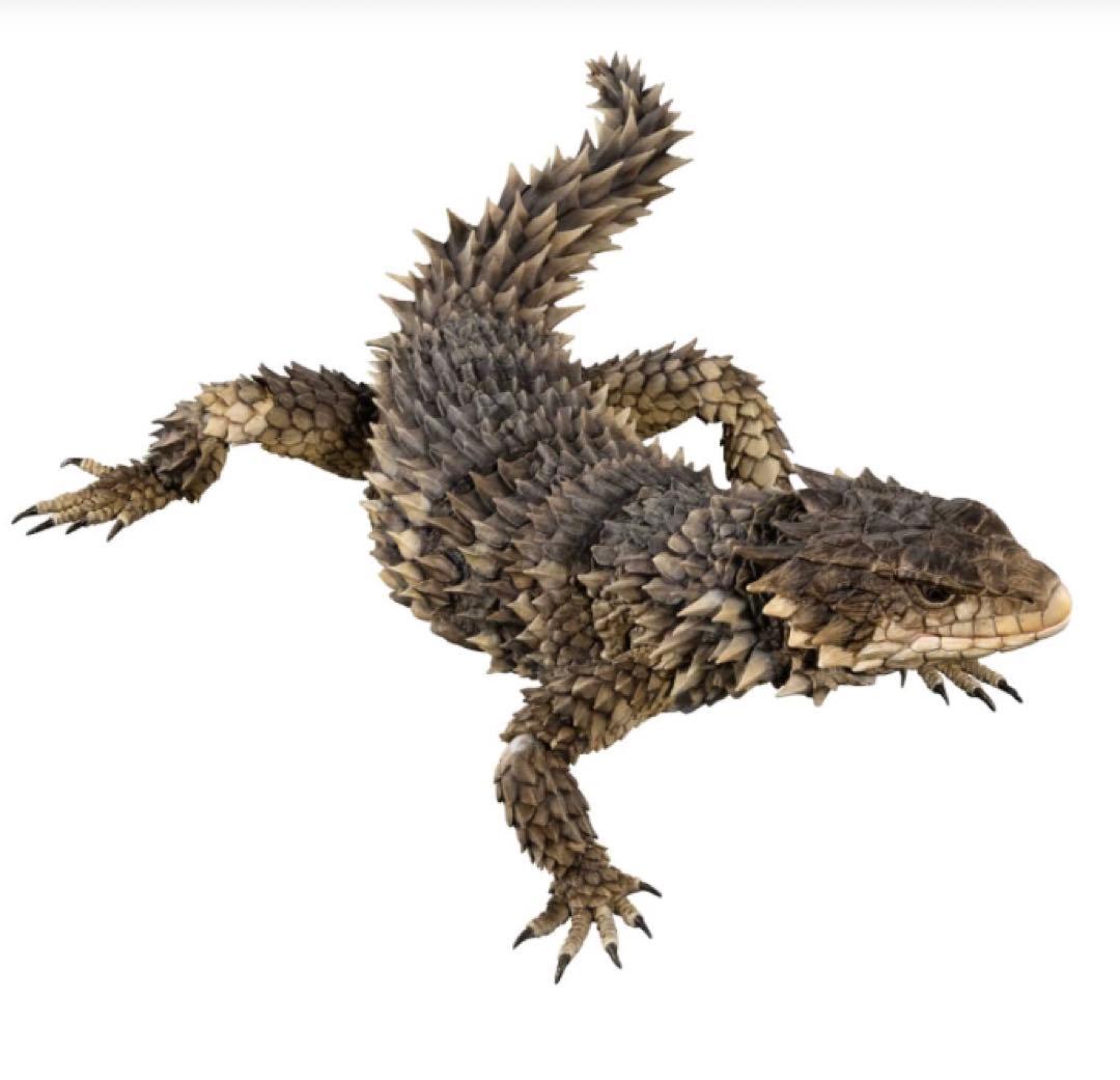 いきもの大図鑑　アルティメット　オオヨロイトカゲ　フィギュア