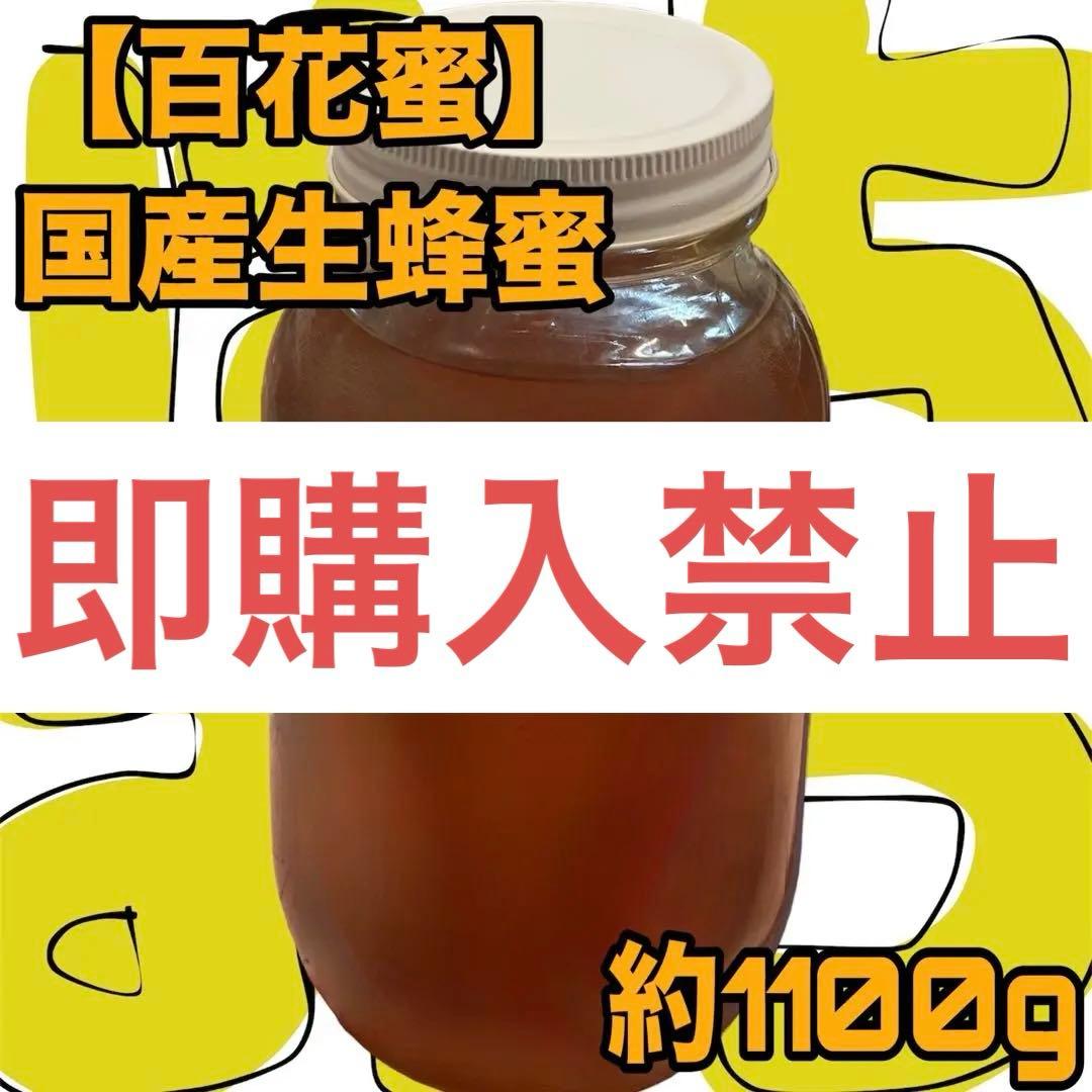 日海センター オリジナル 混合ろ材 約20kg 上部濾過槽 | オリジナル