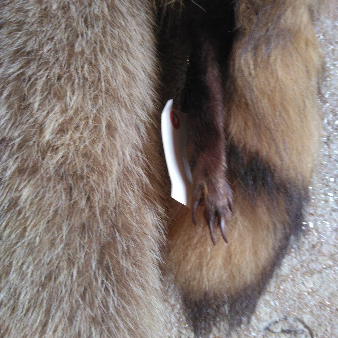 タヌキ剥製 ラクーンドック 毛皮 小型 マフラー リアルファー