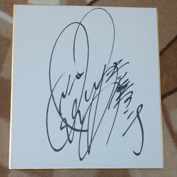 超レア土屋アンナギブソンGibson直筆サイン