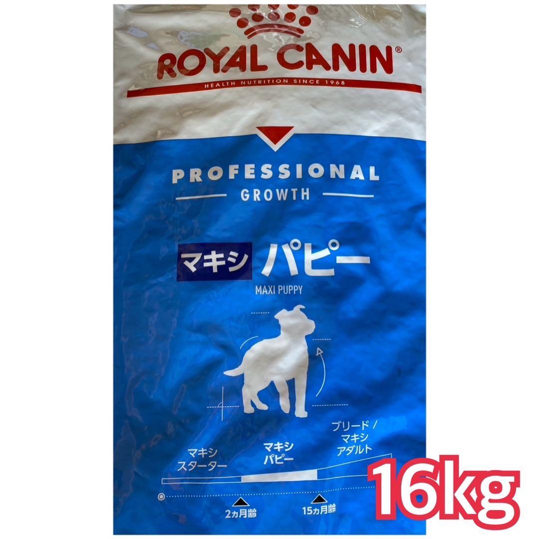 m32479670705_1.jpg?1742210324