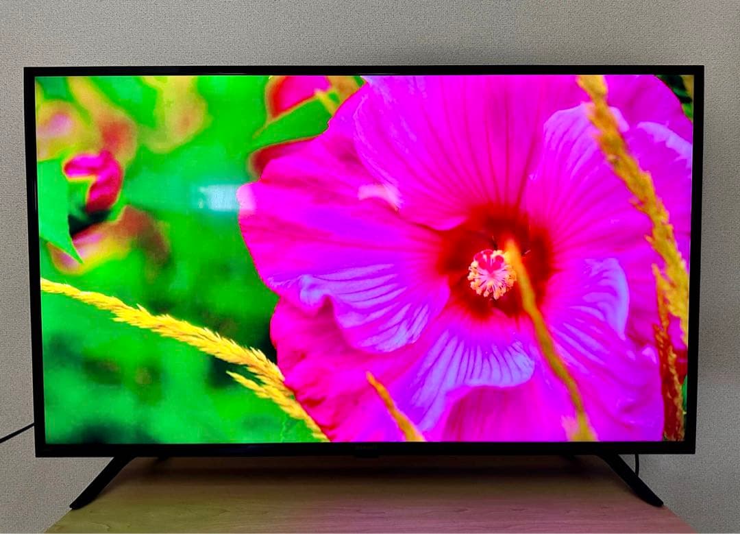 美品 アイリスオーヤマ 43V型 4K液晶テレビ 43UB10PB 2021年製