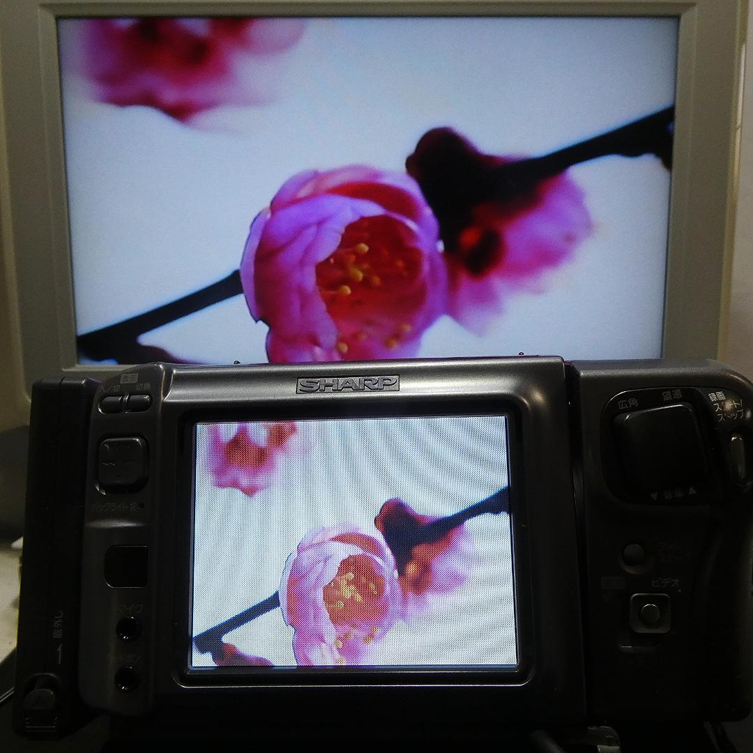 動作良好 シャープ VL-DC1 MiniDV ビデオカメラ DVD化に最適 !
